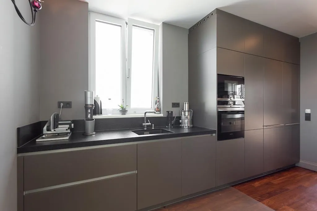 450M² Luxus-Wohnung Mit Dachterrasse Viyana Avusturya